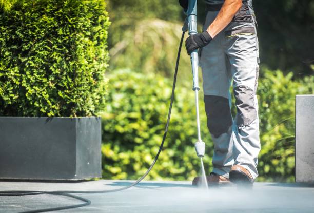 Best Animal Enclosure Cleaning  in Colfax, CA